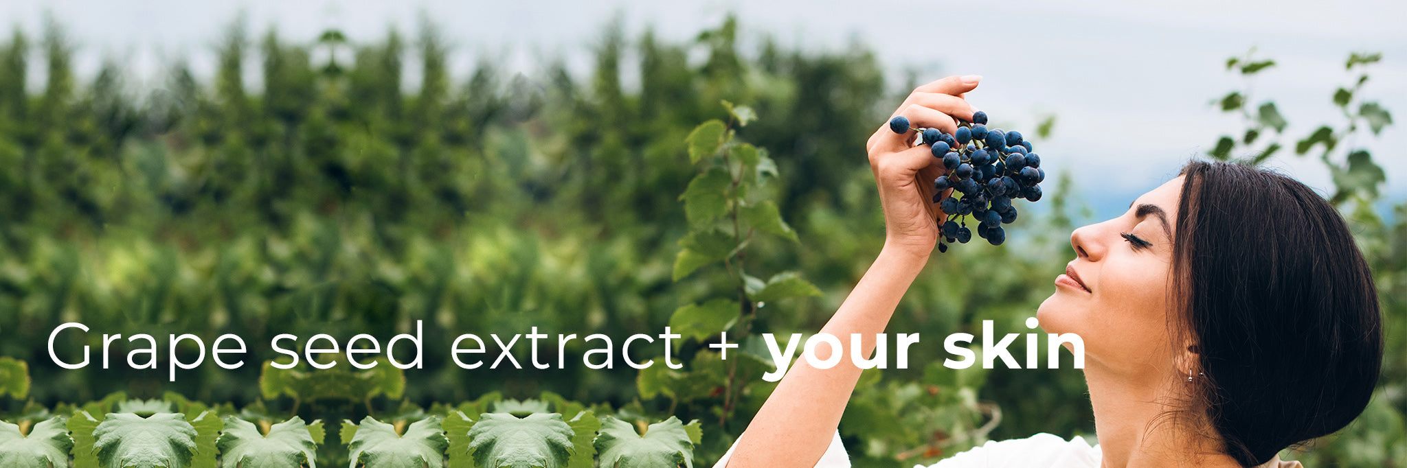 How Grape Seed Extract Can Rejuvenate Your Skin?