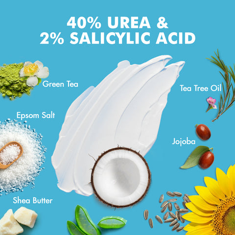 Flat lay graphic on a blue background featuring a white cream smear with a halved coconut in the center. Surrounding the cream are labeled natural ingredients including green tea leaves, tea tree oil sprigs, jojoba seeds, Epsom salt in a wooden scoop, shea butter chunks, aloe vera leaves, sunflower petals and seeds.