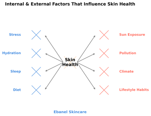 his image is an infographic titled “Internal & External Factors That Influence Skin Health.”  In the center is the phrase Skin Health, with arrows pointing outward to various factors:  On the left (in blue) are internal factors: Stress, Hydration, Sleep, Diet.  On the right (in red) are external factors: Sun Exposure, Pollution, Climate, Lifestyle Habits.  Each factor has an “X” mark beside it, symbolizing its strong impact. At the bottom, it is labeled Ebanel Skincare in blue text.